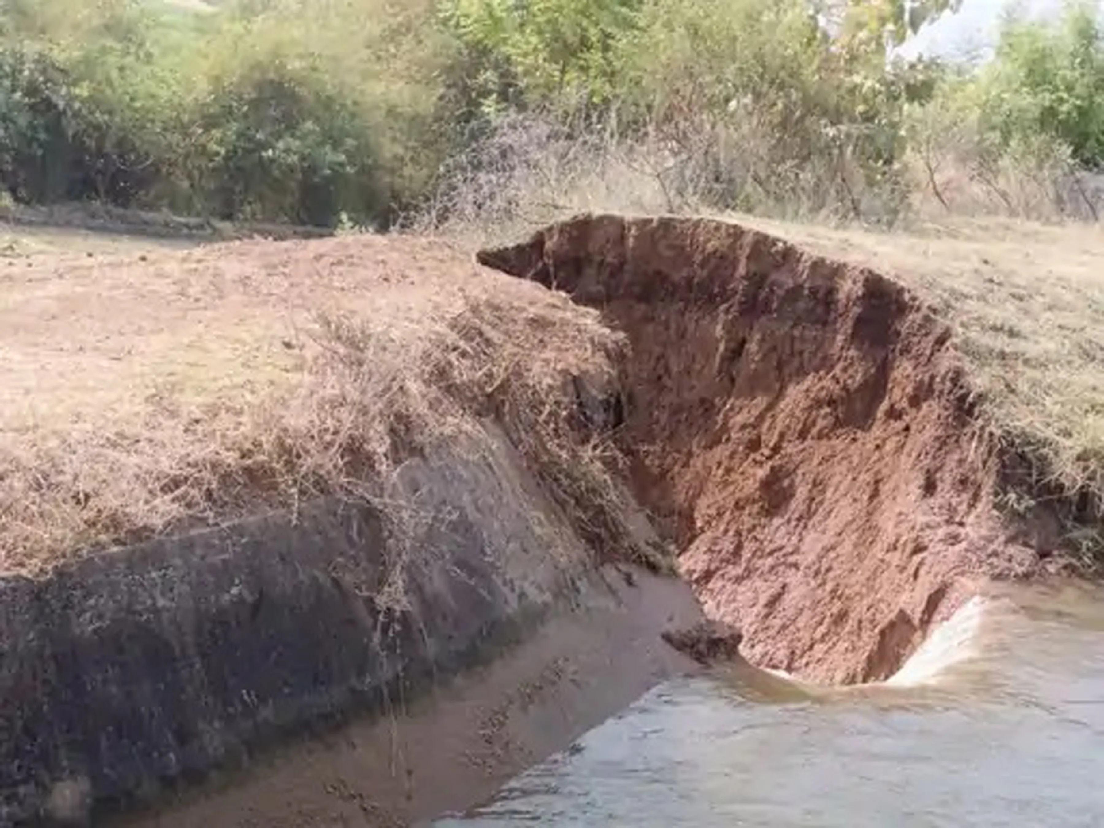 असामाजिक तत्वों ने फोड़ी नहर, मूंग सिंचाई प्रभावित