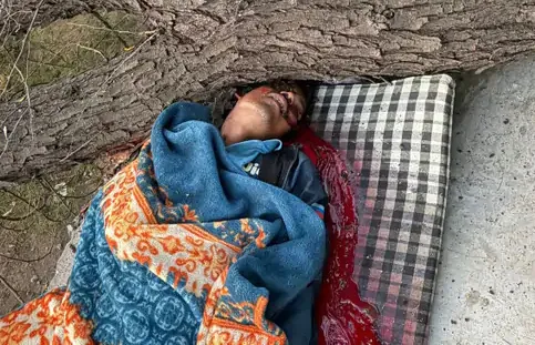 खेत में सो रहे मजदूर पर गिरी पेड़ की डाल, मौत