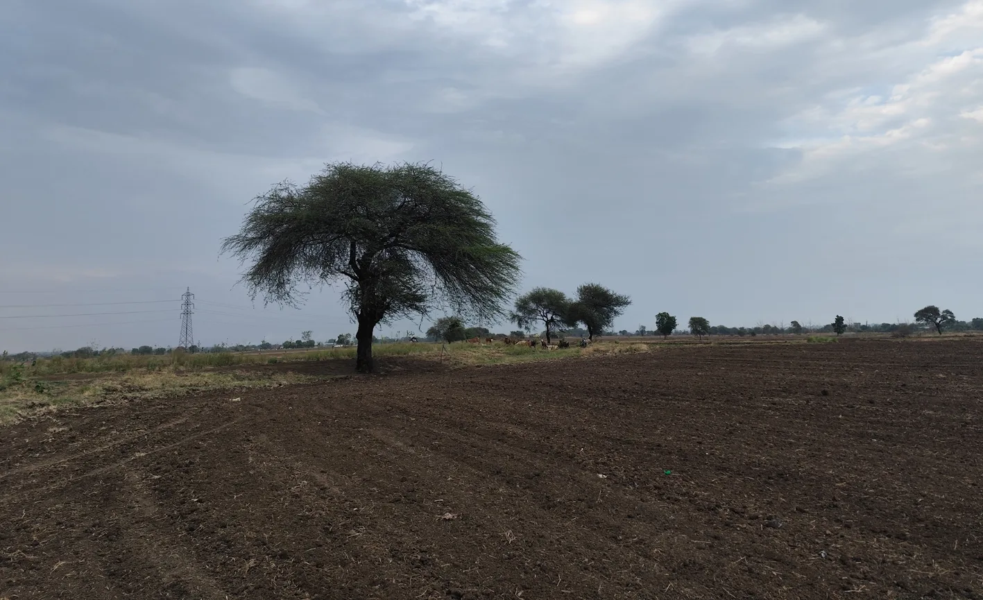 तेज आंधी से गुल हुई बिजली, 20 मिनट की बारिश से क्षेत्र तरबतर