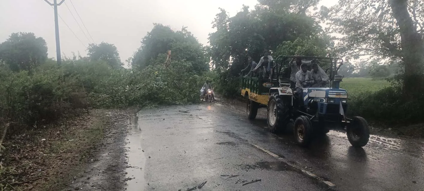 तेज आंधी-बारिश से क्षेत्र में पेड़ गिरे, बिजली व्यवस्था बाधित