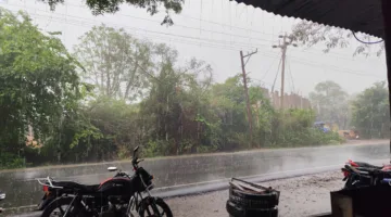 मानसून की पहली बारिश से तरबतर हुआ अंचल