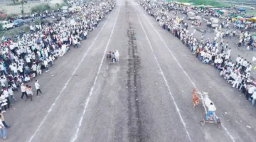 विलुप्त होती अंतर्राष्ट्रीय बैलगाड़ी दौड़ का जुनून बरकरार