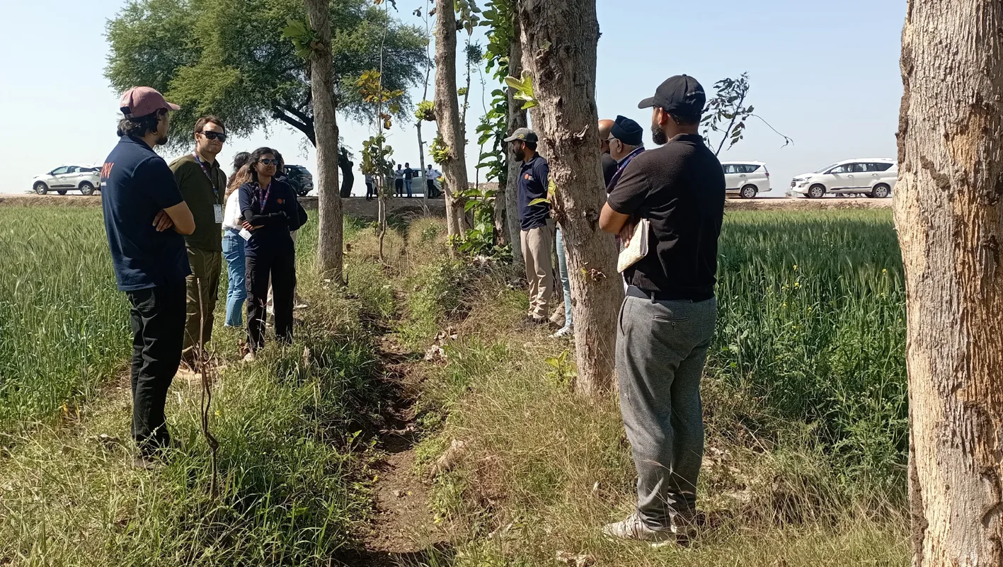 पर्यावरण दिवस विशेष