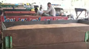 मंडी टैक्स बढ़ोतरी के विरोध में जिले की मंडियां रही बंद