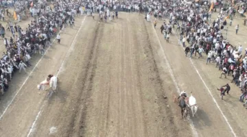 सतवास की बैलगाड़ी दौड़ में रवि मातवा की बैलजोड़ी रही अव्वल