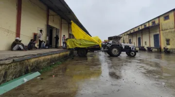 बारिश में तिरपाल के सहारे हो रही मूंग की तुलाई