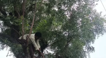 33 केवी लाइन में फाल्ट से 12 गांवों की बिजली घंटों गुल, ग्रामीण परेशान