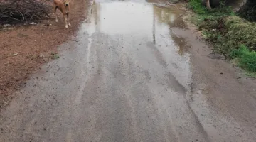 दस दिन बाद हुई बारिश से मिली राहत, झमाझम वर्षा का इंतजार बरकरार