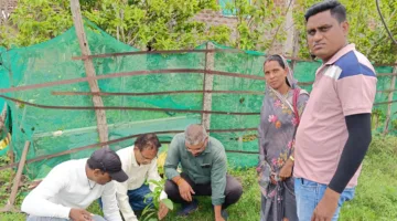  जन अभियान परिषद ने नवांकुर संस्थाओं की समीक्षा कर पौधरोपण अभियान पर की चर्चा