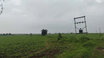 सावन में चार दिन बारिश के बाद थमा मानसून