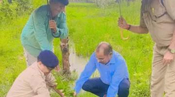 एक पौधा मां के नाम कार्यक्रम के तहत पौधरोपण  