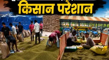 मंडी की अटाला मूंग, खप रही वेयर हाउसों में