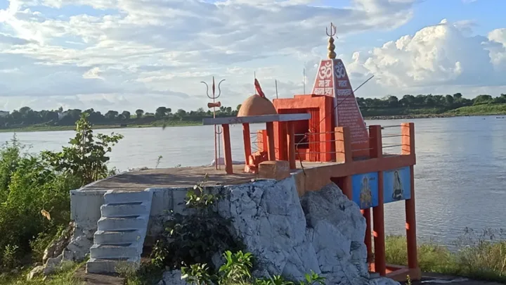 23 6